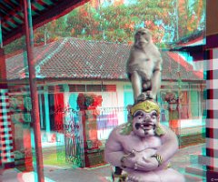 27-Monkey Forest-001 : Banjar Alaskedaton